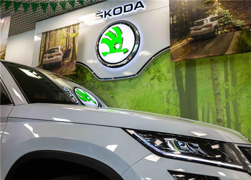 Tesla’s European downfall: Crushed by Skoda and BMW in the race for the EV crown