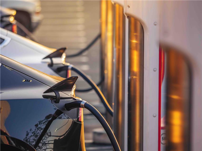 August jolt: The ev market sparking through the roof